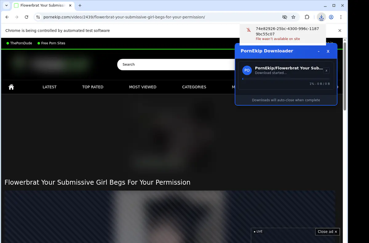 Pornekip Video Downloader screenshot 2