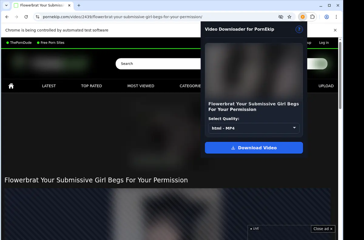 Pornekip Video Downloader screenshot 3