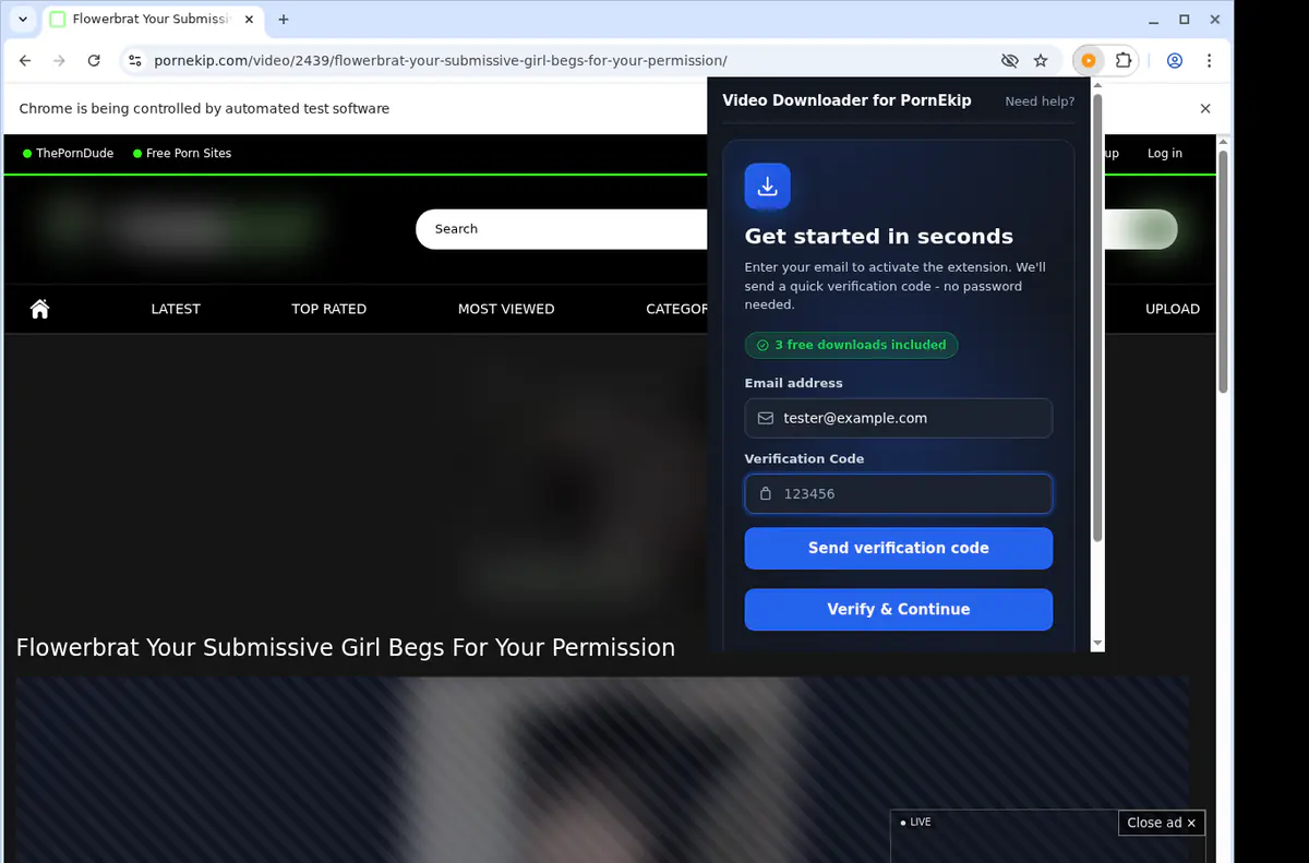 Pornekip Video Downloader screenshot 4