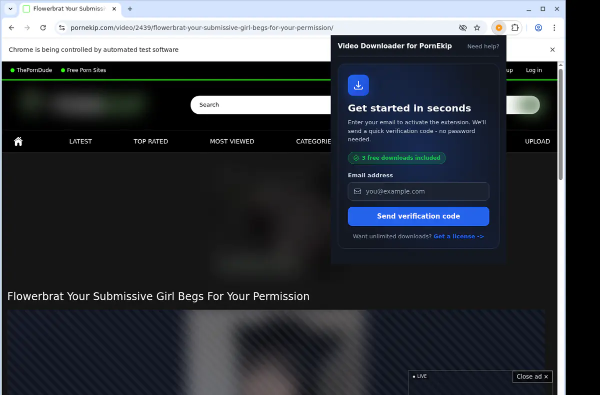 Pornekip Video Downloader screenshot 5